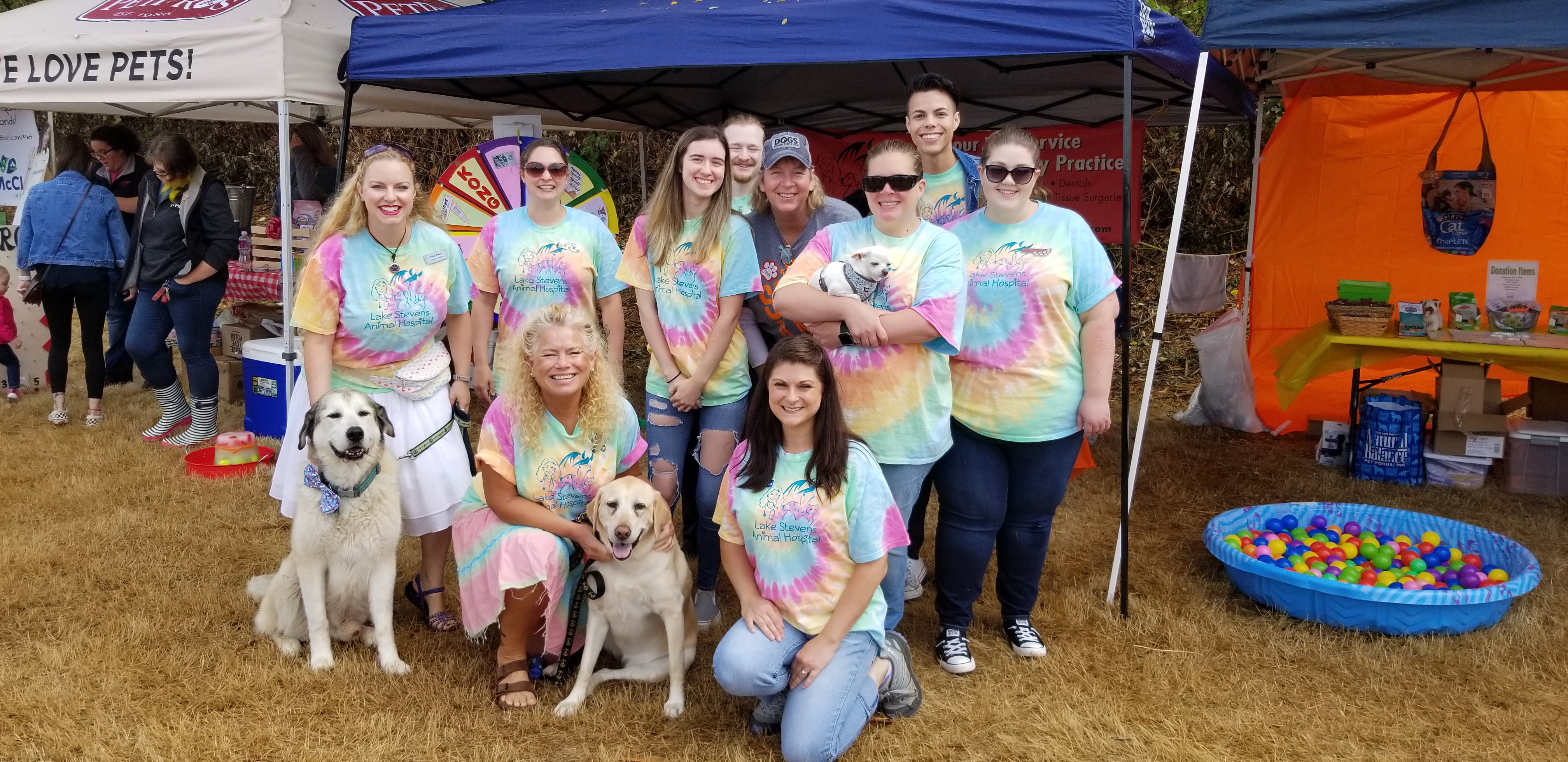 Veterinary Clinic in Everett, WA | Lake Stevens Animal Hospital